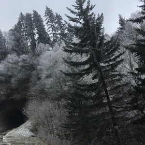 Meet your Posher, Celeste